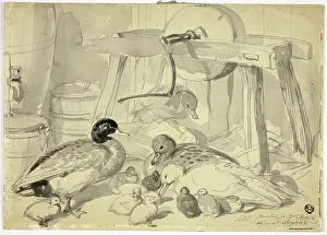 Duckling Prints: Ducks, Ducklings and Grindstone, n.d. Creator: John Frederick Hering