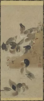 Kakemono Gallery: Ducks, Edo period, (18th century?). Creator: Unknown