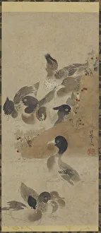 Kakemono Gallery: Ducks, Edo period, (18th century?). Creator: Unknown