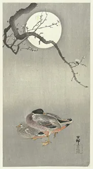 Landscapeanimals And Birds Prints: Ducks at full moon. Creator: Ohara, Koson (1877-1945)