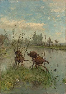 Nest Prints: Ducks Nests, c.1890-c.1900. Creator: Paul Joseph Constantin Gabriel