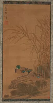 Reed Gallery: Two ducks among reeds at the waters edge, Ming or Qing dynasty, 15th-18th century