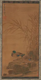 Reed Gallery: Two ducks among reeds at the waters edge, Ming or Qing dynasty, 15th-18th century