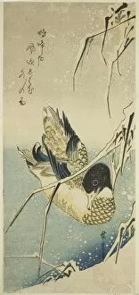 Waterfowl Collection: Ducks in snow, 1830s. Creator: Ando Hiroshige