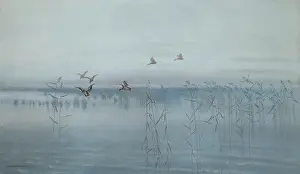 Misty Prints: Ducks over Swamps, 1892. Creator: Stanislaw Maslowski