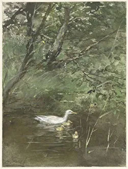 Duckling Prints: Ducks in the water, 1854-1892. Creator: Willem Maris