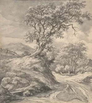 Brush And Gray Wash Gallery: Dune Landscape with Oak Tree, 1650-55. Creator: Jacob van Ruisdael