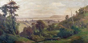 Fallen Tree Prints: Dunedin from Pine Hill, c1900s. Creator: George William Carrington