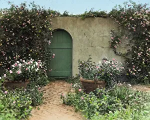 Plant Container Prints: The Dunes, Frank Bestow Wiborg house