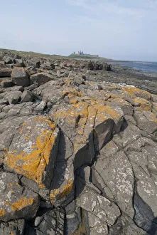 Dunstanburgh, 2006. Creator: Ethel Davies