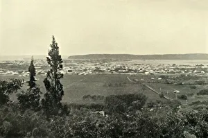 Kwazulu Natal Prints: Durban, Natal, 1901. Creator: Wilson