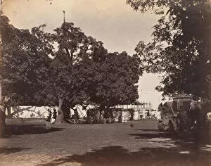 Elephants Gallery: Durbar Held at Governor Generals Camp, 1859. Creator: Unknown