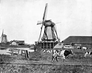 Dutch windmills, Holland, late 19th century. Artist: John L Stoddard Dutch windmills, Holland, late 19th century. Artist: John L Stoddard