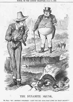 Explosion Prints: The Dynamite Skunk, 1884. Artist: Joseph Swain