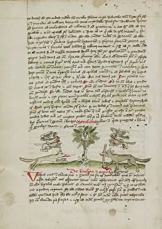 An Eagle Flying to its Nest with a Young Fox in its Beak; Fables, third quarter of 15th century. Creator: Unknown