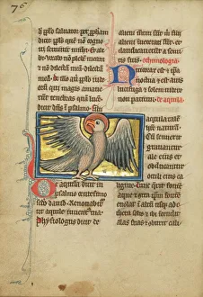 Bestiary Prints: An Eagle; De Natura Avium; De Pastoribus et Ovibus, 1277 or after. Creator: Unknown