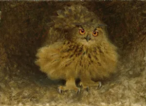 Bruno Anders Liljefors Prints: An Eagle Owl, 1905. Creator: Bruno Liljefors