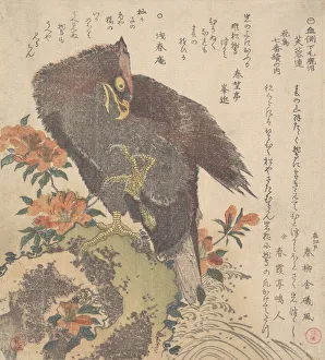 Claw Prints: Eagle on a Rock; Flowering Azaleas, ca. 1800. Creator: Kubo Shunman