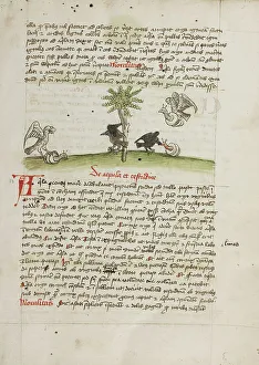 Crow Prints: An Eagle Seizing a Snail: A Crow Pecking at a Snail; Fables