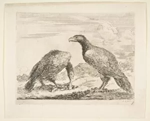 Birds Of Prey Gallery: Two eagles, one devouring a lamb, from Eagles (Les aigles), ca. 1651