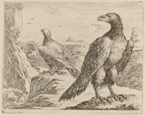 Claw Prints: Two Eagles, Both with Heads Turned to the Left. Creator: Stefano della Bella