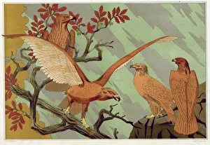 Lanimal Dans La Decoration Prints: Eagles, pub. 1897. Creator: Maurice Pillard Verneuil (1869?1942)