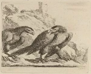 Beak Gallery: Two Eagles with Tower in Background. Creator: Stefano della Bella