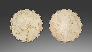Jalisco Prints: Ear Spools, 200 B. C. / A. D. 200. Creator: Unknown