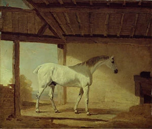 Ben Marshall Gallery: The Earl of Coventrys Horse, 1805. Creator: Benjamin Marshall