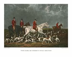 Dogs Collection: The Earl of Derbys Stag Hounds, early 19th century, (c1955). Creator: Unknown