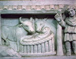 Oxen Prints: Early Christian Nativity Scene, 4th Century