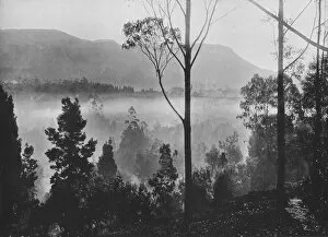 Alfred William Amandus Gallery: The Early Morning Mist Rising at Nuwara Eliya, c1890, (1910). Artist: Alfred William Amandus Plate