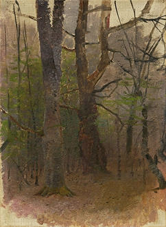 Early Spring. Forest, 1876 - 1877. Creator: Ladislav Mednyanszky