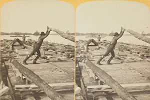 Logging Prints: Earning their money, 1886. Creator: Henry Hamilton Bennett