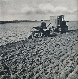The earth made ready, 1941. Artist: Cecil Beaton