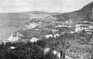 Casamicciola Terme Prints: The Earthquake in Ischia: Casamicciola, 1883. Creator: Unknown