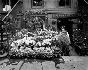 Shop Owner Prints: An Easter floral display, New York, between 1900 and 1905. Creator: Unknown