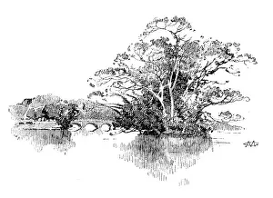Ashford Prints: Eastwell Park: the Lake, 1895. Creator: Unknown
