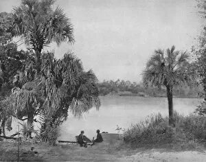Deep South Gallery: Eau Gallee, Indian River, Florida, c1897. Creator: Unknown
