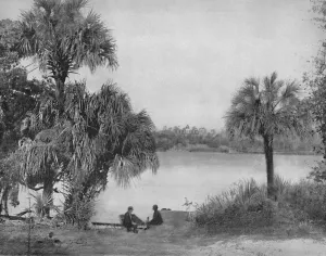 Deep South Prints: Eau Gallee, Indian River, Florida, c1897. Creator: Unknown