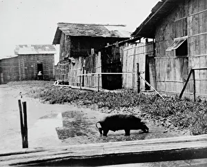 Ecuador - Scenes In Quayaquil, Ecuador, 1912. Creator: Harris & Ewing. Ecuador - Scenes In Quayaquil, Ecuador, 1912. Creator: Harris & Ewing