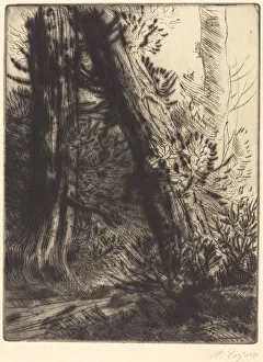 Brook Prints: Edge of a Brook (Bord de ruisseau). Creator: Alphonse Legros