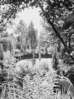 Charles N Edge Prints: Edge, Charles N. garden, 1933 Creator: Arnold Genthe