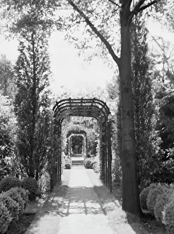 Garden Feature Prints: Edge, Charles N. garden, 1933 June 18. Creator: Arnold Genthe