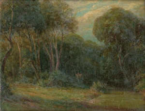 Cordak Prints: The Edge Of The Forest, 1908. Creator: Ludovit Cordak