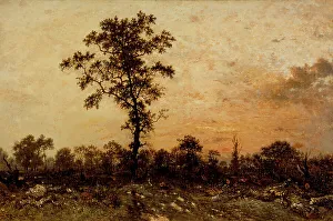 Rousseau Theodore Prints: Edge of the Forest, Sun Setting, between c1845 and c1846. Creator: Theodore Rousseau