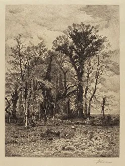 Copse Prints: The Edge of the Swamp, 1886. Creator: Peter Moran