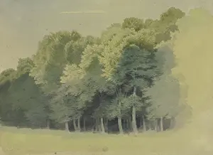 Edge Prints: Edge of a wood, 1855. Creator: Carl Theodor Reiffenstein