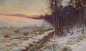 Winter Collection: The Edge of the Wood, 1911. Creator: Joseph Farquharson