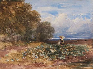 Cox David Prints: The Edge of the Wood, c1830s. Creator: David Cox the Elder